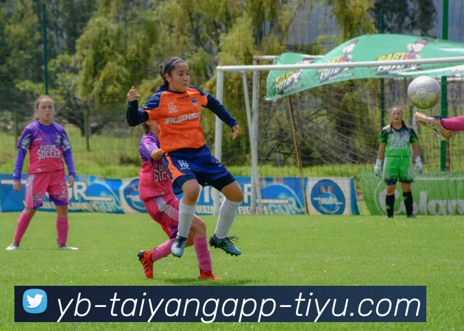 太阳城平台生态图