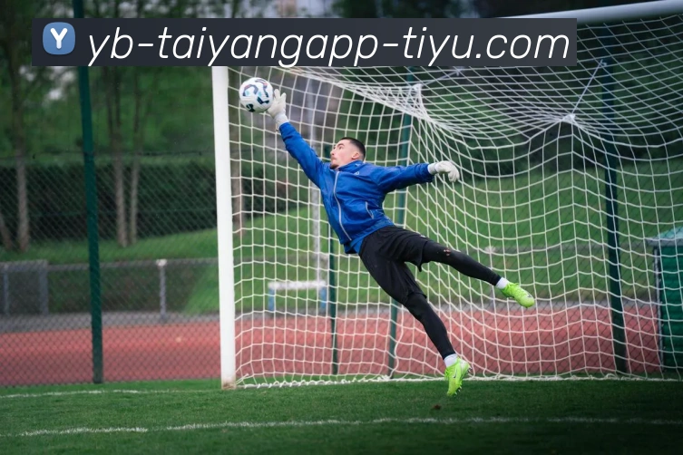 太阳城APP 封面图